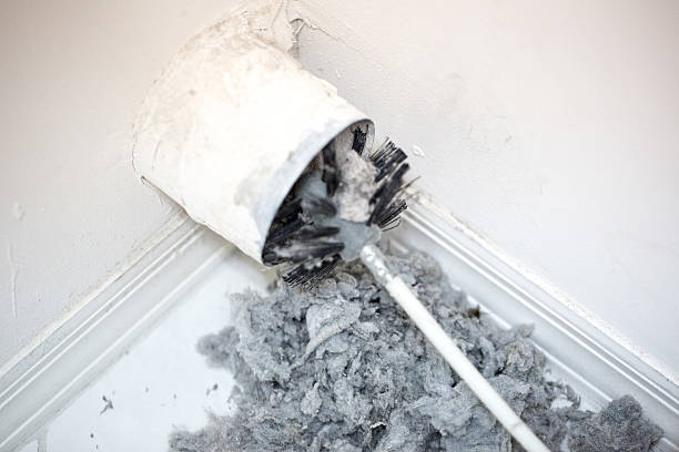 Best Air Duct Cleaning Near Me  in Temple Terrace, FL